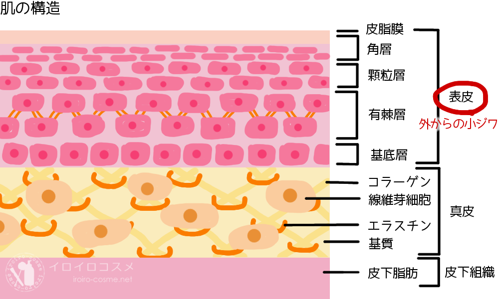 外からの小ジワ